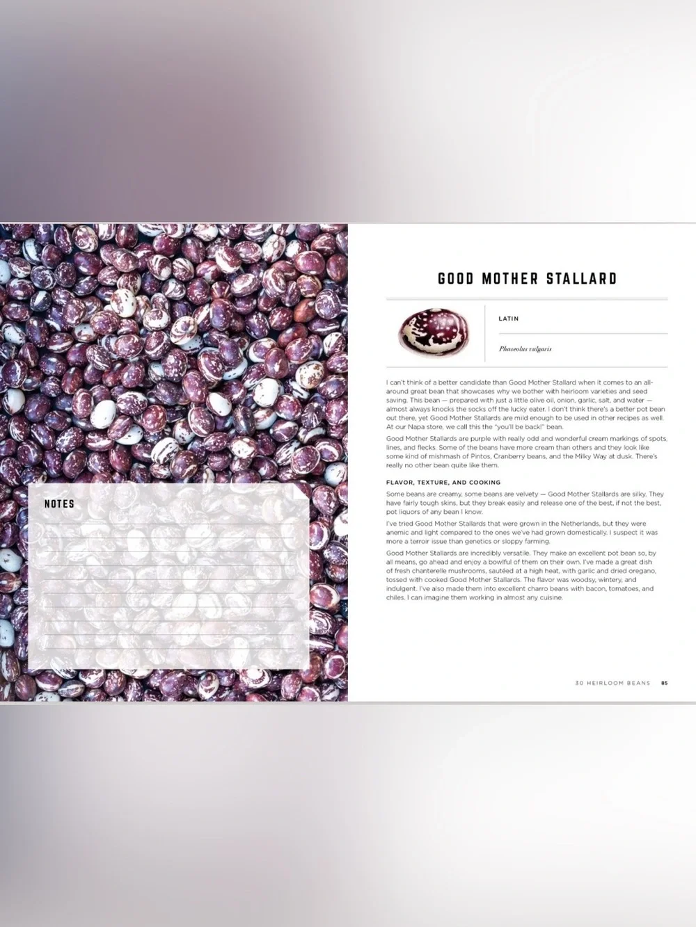 The Rancho Gordo Heirloom Bean Guide Hardcover Book